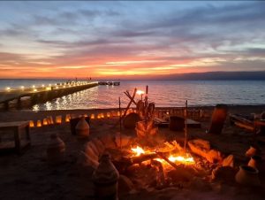 Berenice beach club in south beach aqaba