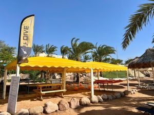 scuba dive in aqaba, going to Rainbow Reef, Pre diving area in Berenice Beach club aqaba and Sindbad dive club