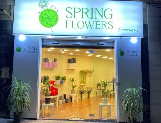 Spring Flowers