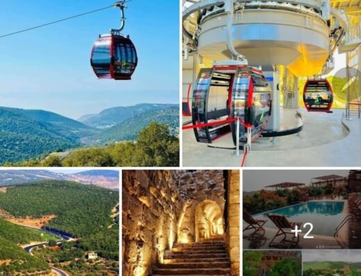 Muna Haddad travel and tourism