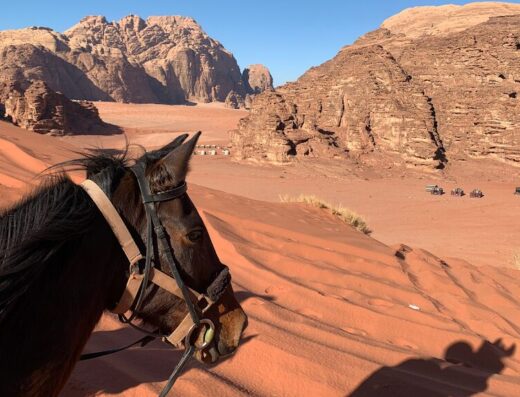 Wadi Rum Horse Adventures