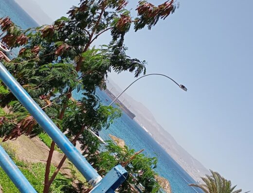 _ Afnan hotel