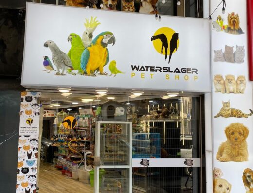 Waterslager Pet Shop Sweifieh