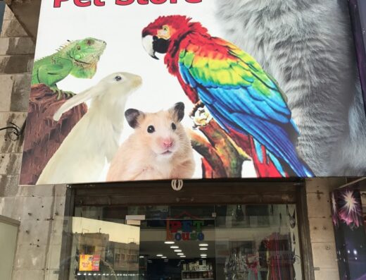 Pet house