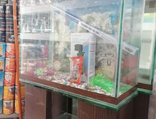 Pets shop