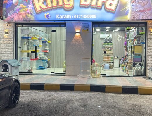 King birds