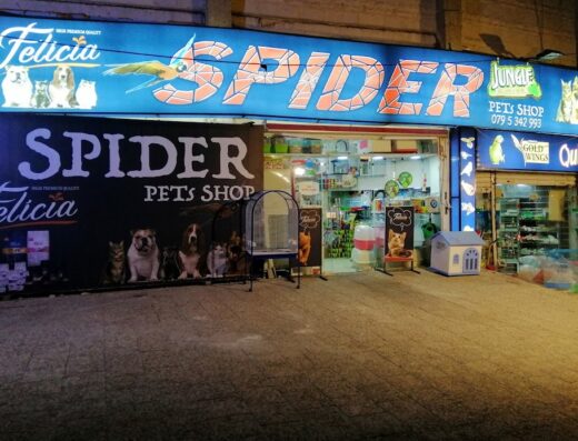 Spider Pets Shop