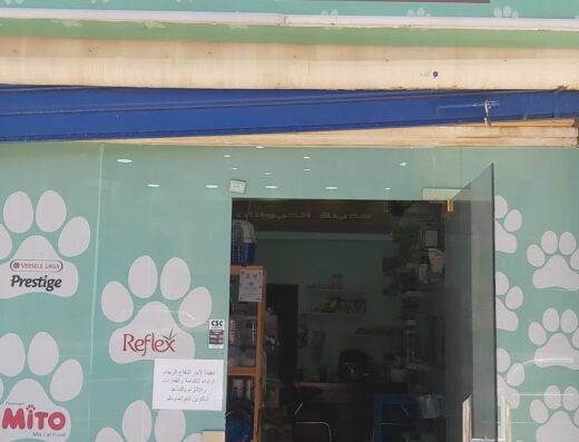 Pets city