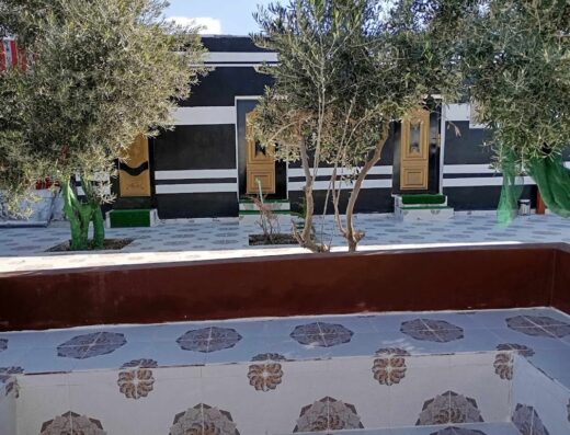 Petra Falcons Camp Guest House