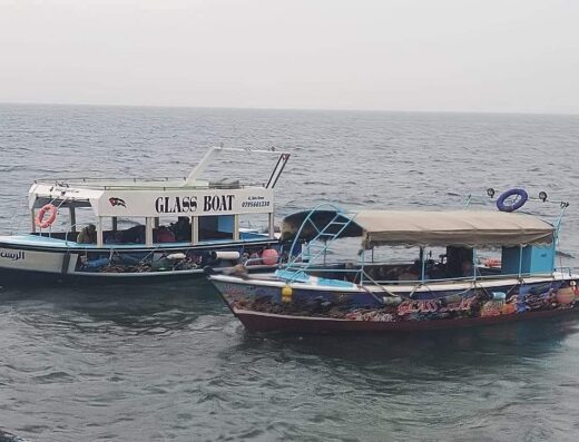 Glass boat – coral Scope Group