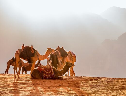 Jordan Tours- Sherazade Travel