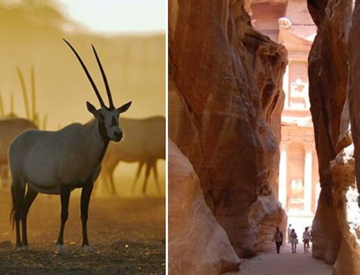 Jordan Direct Tours