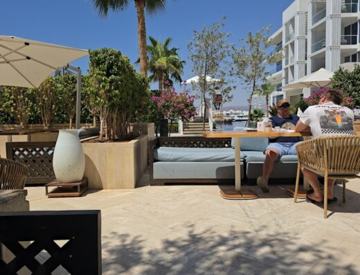 The Olive Tree