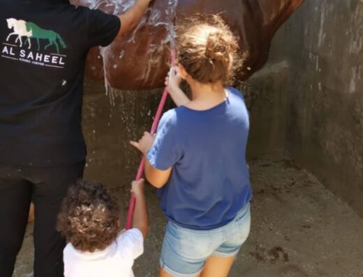 AlSaheel Equestrian Center