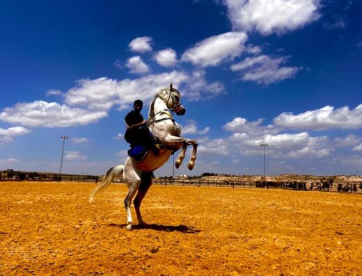Alsultan Equestrian Center