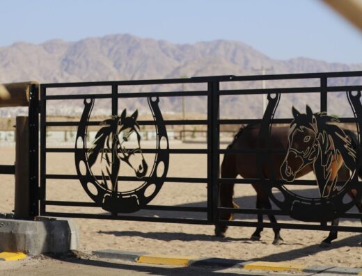 Aqaba Horse Club