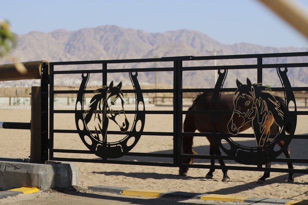 Aqaba Horse Club