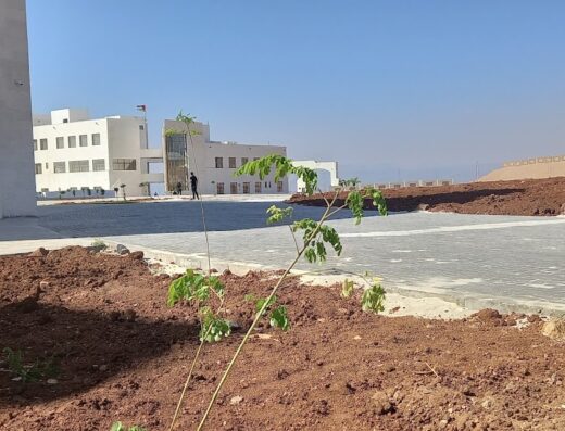Aqaba Medical Sciences University (AMSU)