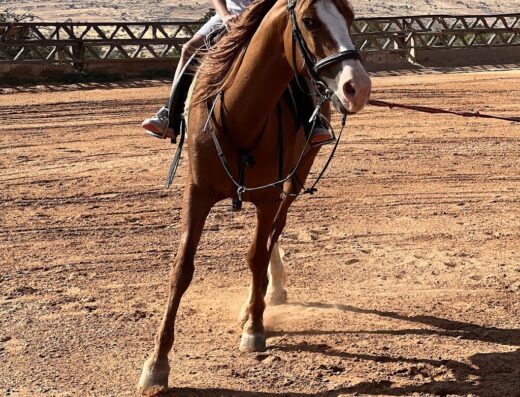 Country Riding Center of Jordan