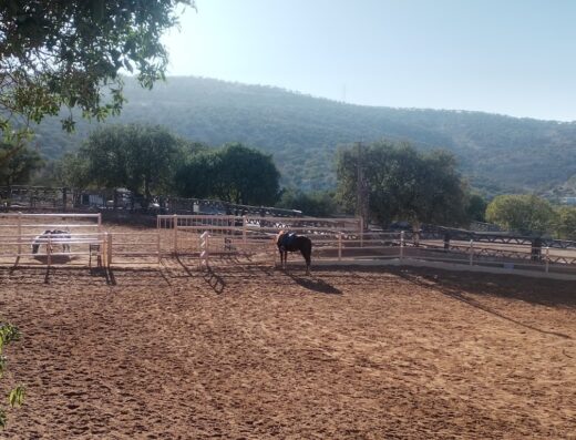 Country Riding Center of Jordan