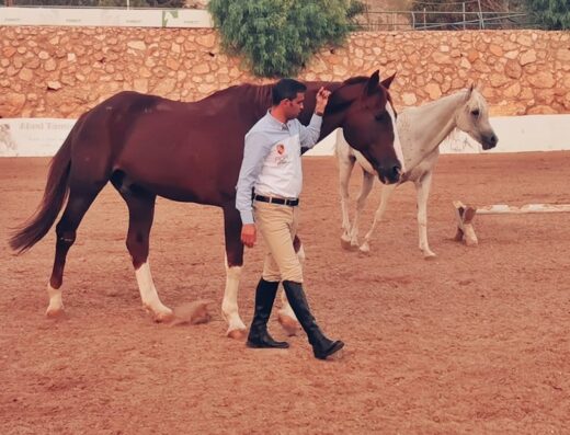 Forest Hill Equestrian Center Amman