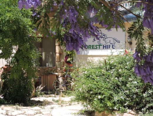 Forest Hill Equestrian Center Amman