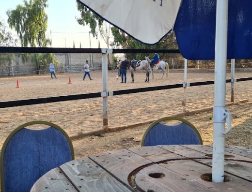 Horse moon stable