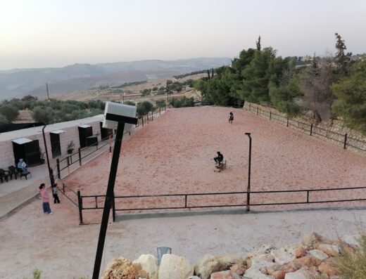 Mardo horses cafe. اسطبلات و كفيه ماردو