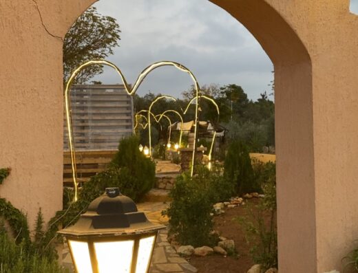 Mardo horses cafe. اسطبلات و كفيه ماردو