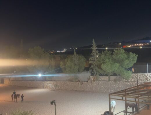Mardo horses cafe. اسطبلات و كفيه ماردو