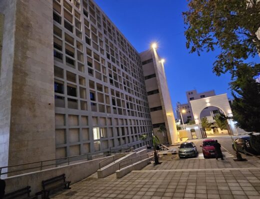 Princess Alia University College