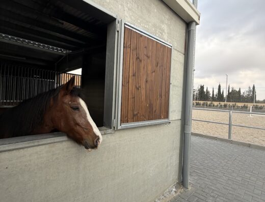 Reins Equestrians.
