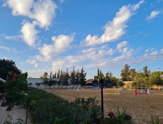 Saifi Stables