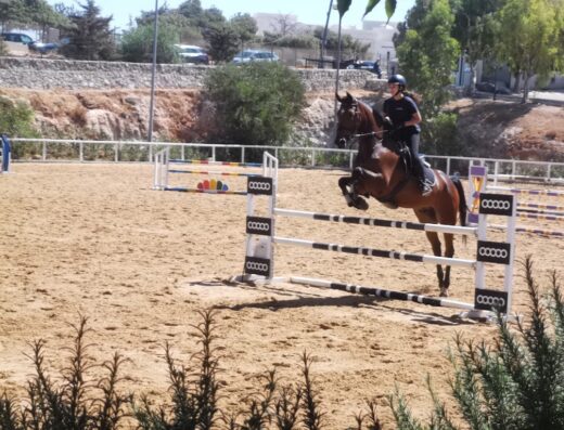 Saifi Stables