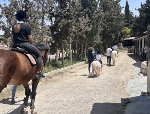 Saifi Stables